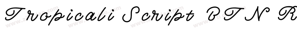Tropicali Script BTN Rough字体转换